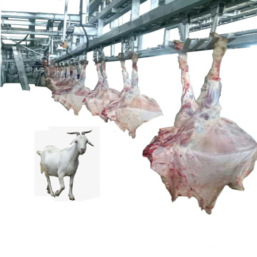 Turnkey Sheep Goat Slaughtering Equipment Slaughter Line